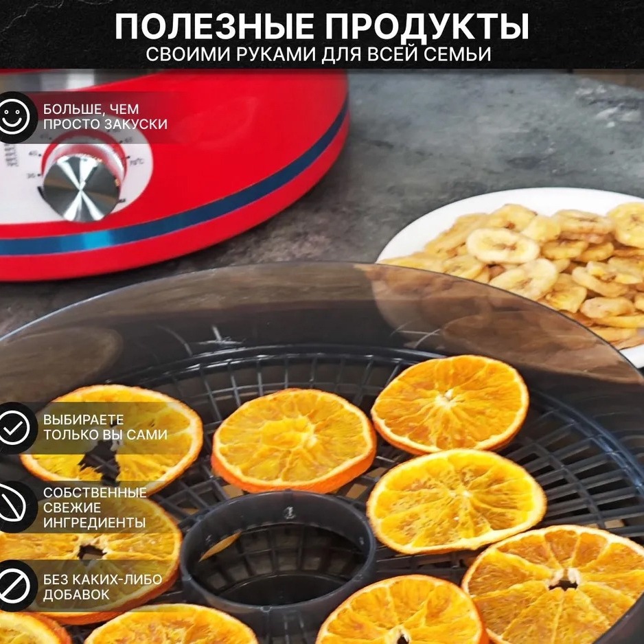 เครื่องอบแห้งผลไม้ขนาดเล็กสำหร - Food Dehydrator Snacks บทวิจารณ์และราคา